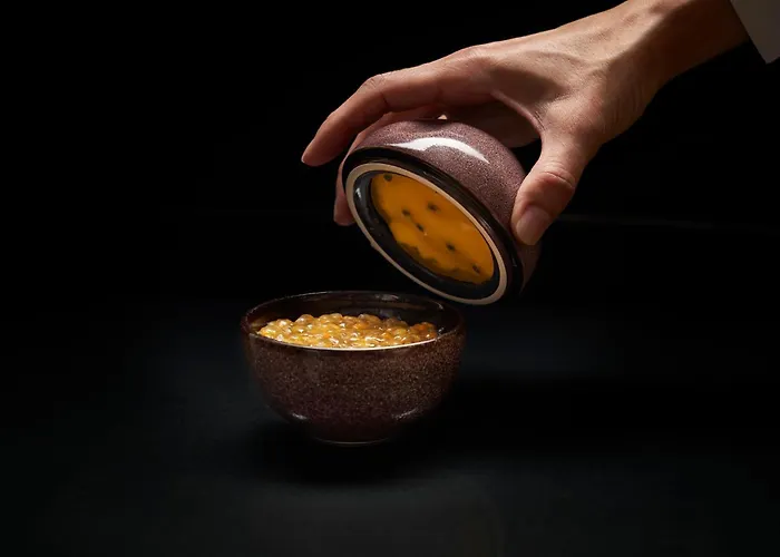 波尔图湾度假酒店 酒店 丰沙尔